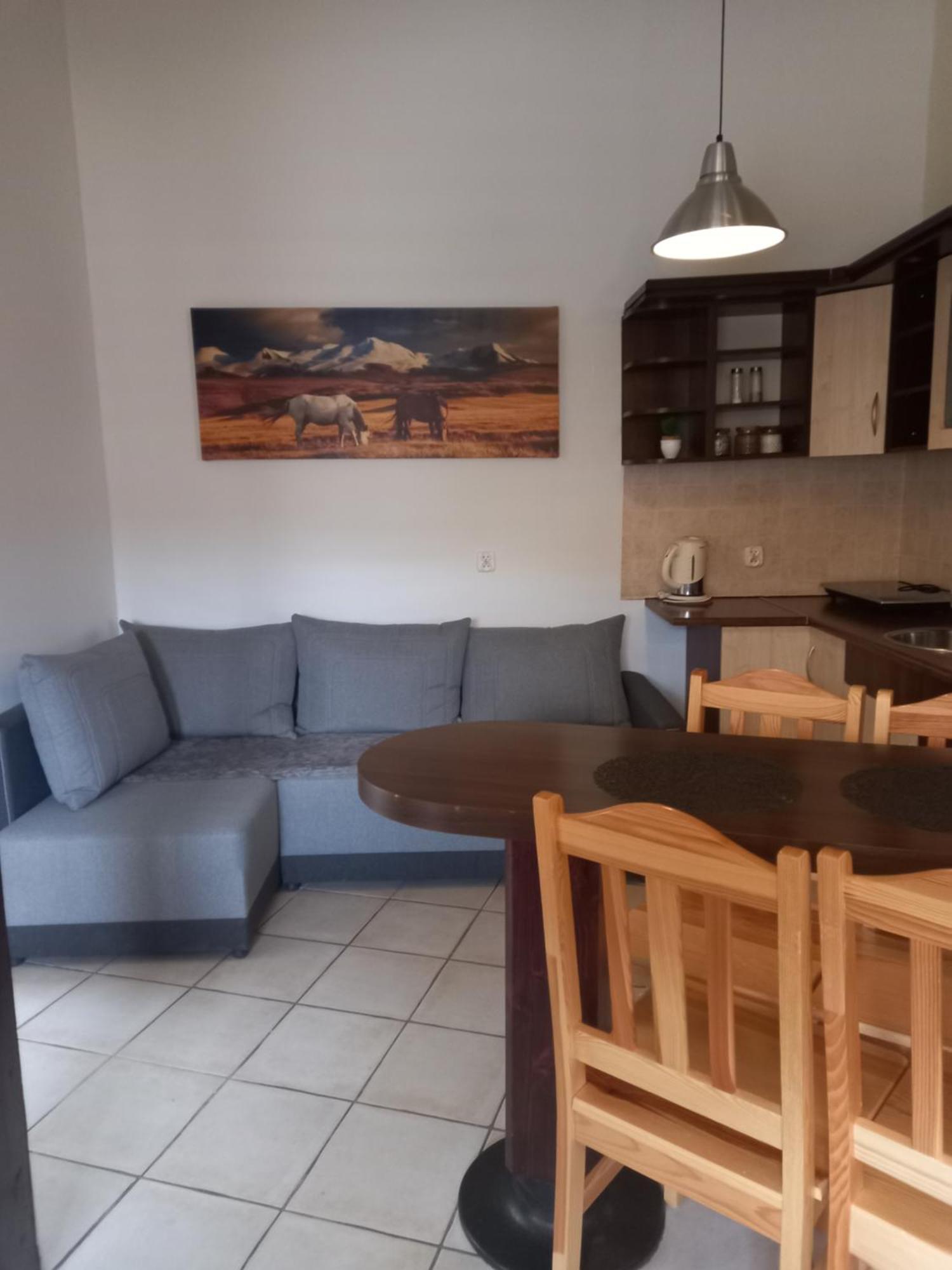 Apartamenty Krupowki 24 ザコパネ エクステリア 写真